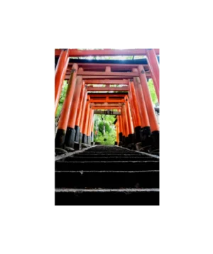 Steps Towards The Sacred