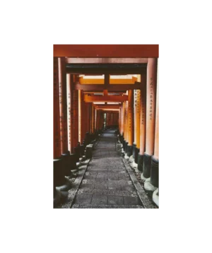 Path Of A Thousand Gates